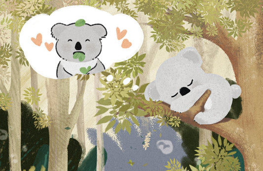 Illustration of Kyle the Koala searching for a eucalyptus tree